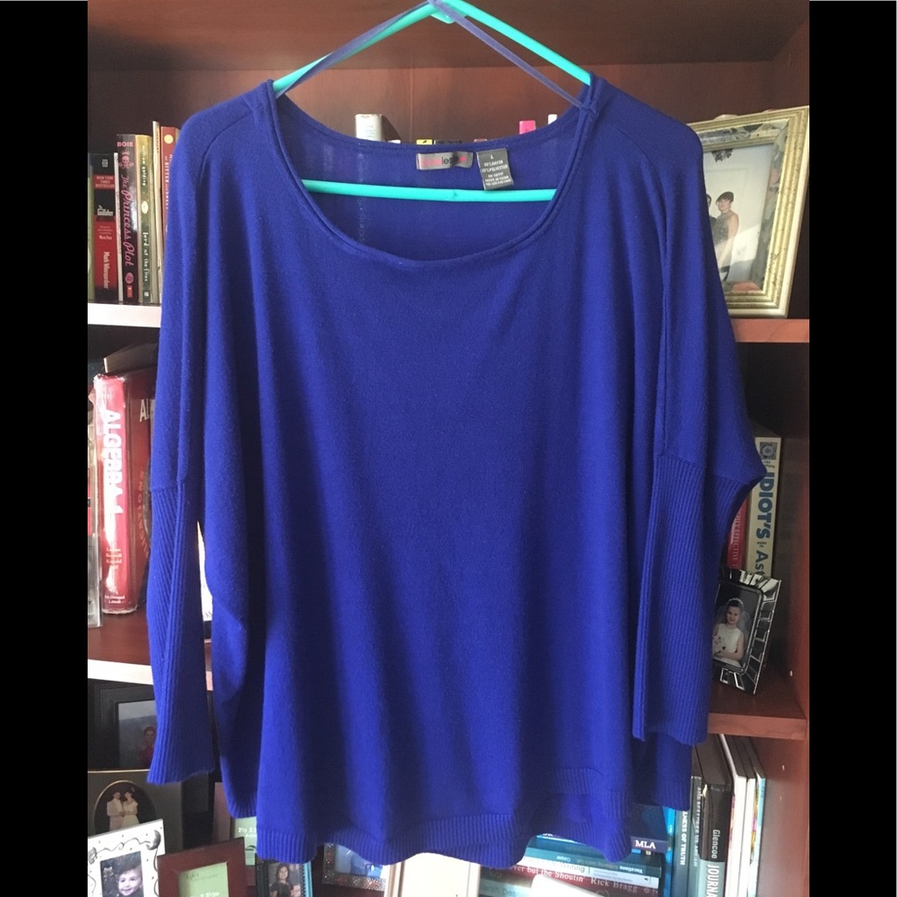 Joyce Leslie blue sweater shirt